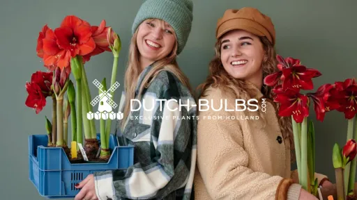 Follo x Dutch Bulbs