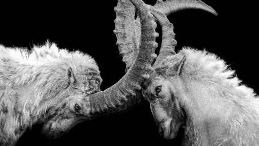 The marketplace versus wholesale businessmodel by maxime-gilbert-X-4NYxVZ4R0-unsplash.jpg