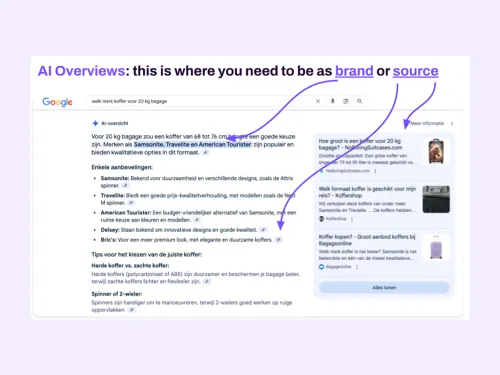 Google&rsquo;s AI Overviews - EN.png