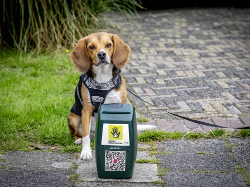 non-profit-follo-dierenbescherming