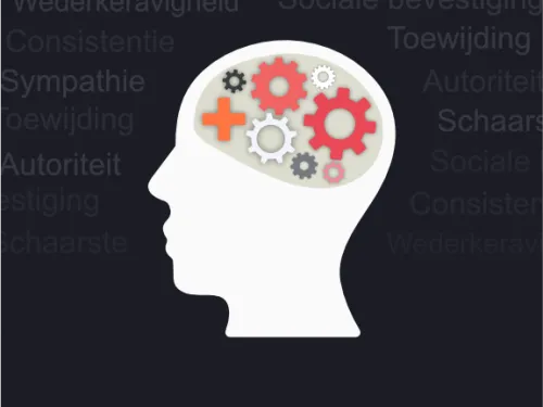 4.-575x1000px.png