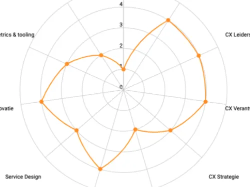CXMaturity-OrangeValley.png