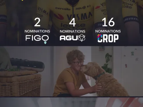 Stories-INC-V2.png